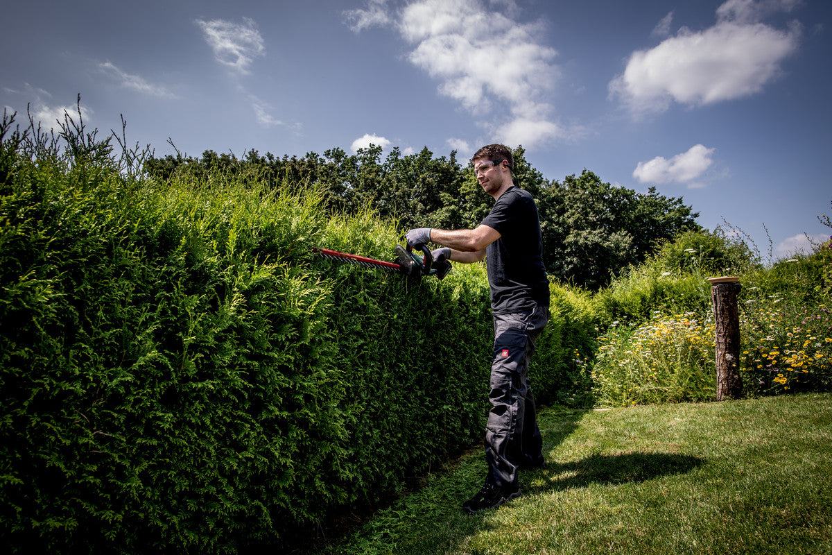 HS 18 LTX 55 (601718500) Akku-Heckenschere