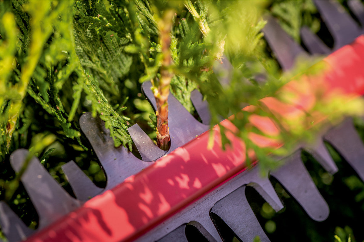 HS 18 LTX 55 (601718500) Akku-Heckenschere