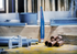 Bosch EXPERT S1156XHM Multi Material Säbelsägeblatt