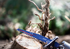 Bosch EXPERT S1142KHM Tough Wood Säbelsägeblatt
