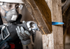 Bosch EXPERT S1167XHM Wood with Metal Demolition Säbelsägeblatt
