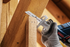 Bosch Säbelsägeblatt S 922 HF