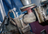 Bosch PRO Thick Metal Demolition S930CF Säbelsägeblatt, 1,6 x 22 x 150 mm, 25-tlg.