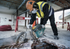 Bosch PRO Abrasive Diamanttrennscheibe, 300 x 20/25,4 mm