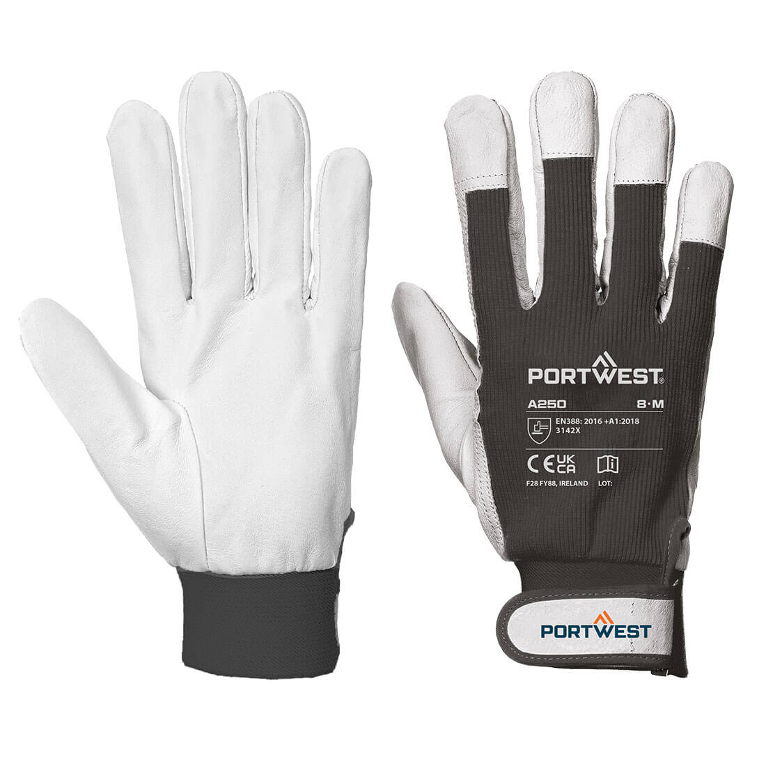 Tergsus Handschuh - Schwarz (BKR)