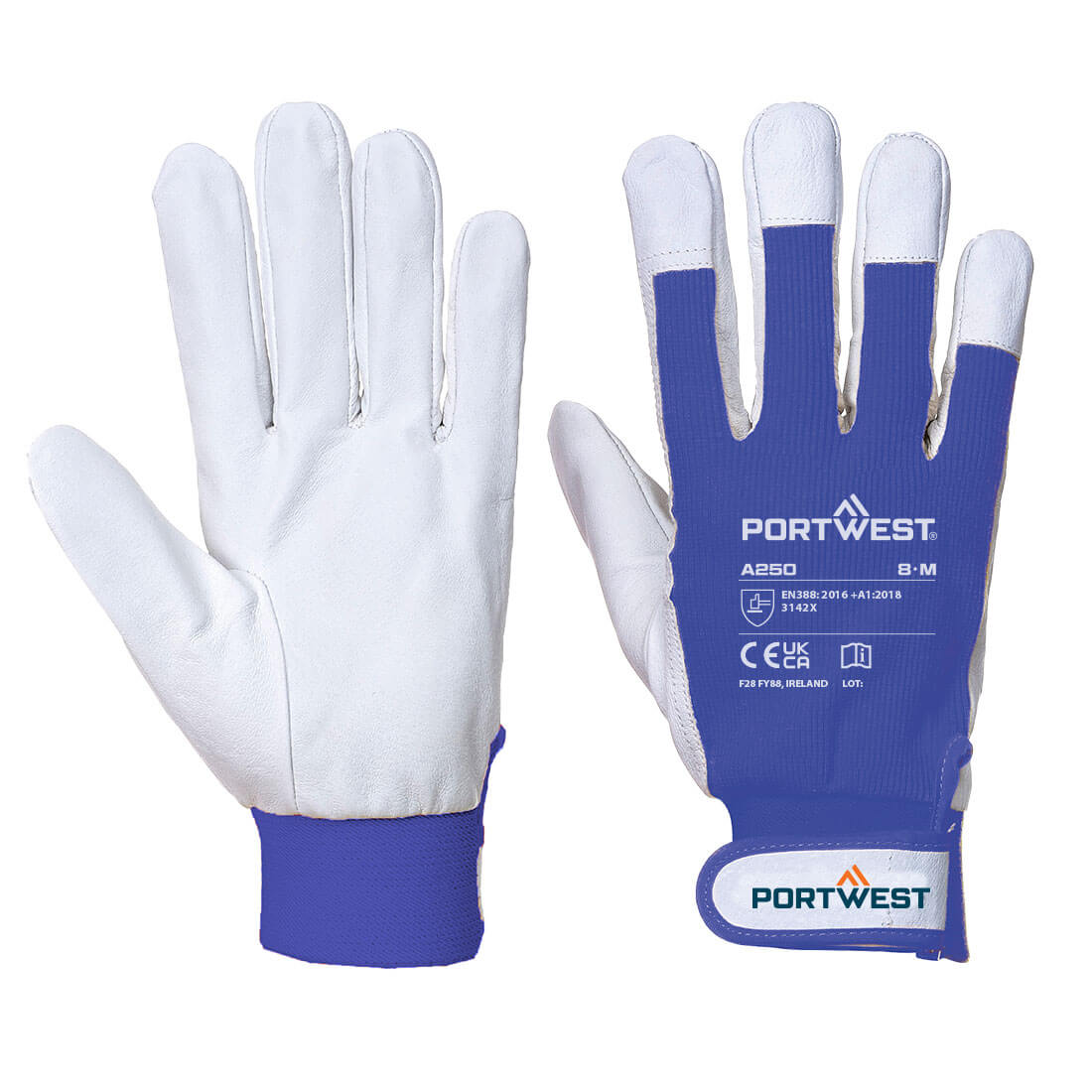 Tergsus Handschuh - Blau (BLU)