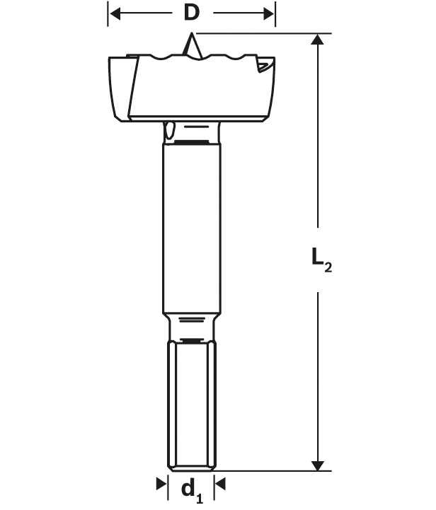 Bosch Forstnerbohrer