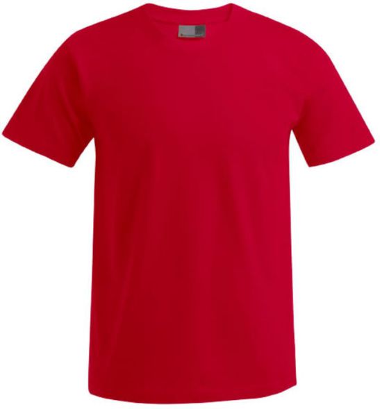 Herren Premium T-Shirt - MELTEC GmbH