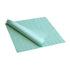 ClaraClean® Go! SX120 grün, 33 × 33 cm, unbeladen neutral