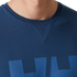 Langarmpullover mit Logo