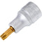 Schraubendreher-Steckschlüsseleinsatz TORX® Vierkant 12,5 mm (1/2 Zoll) - MELTEC GmbH