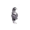 Ersatzklinge für 16 40 150 - MELTEC GmbH